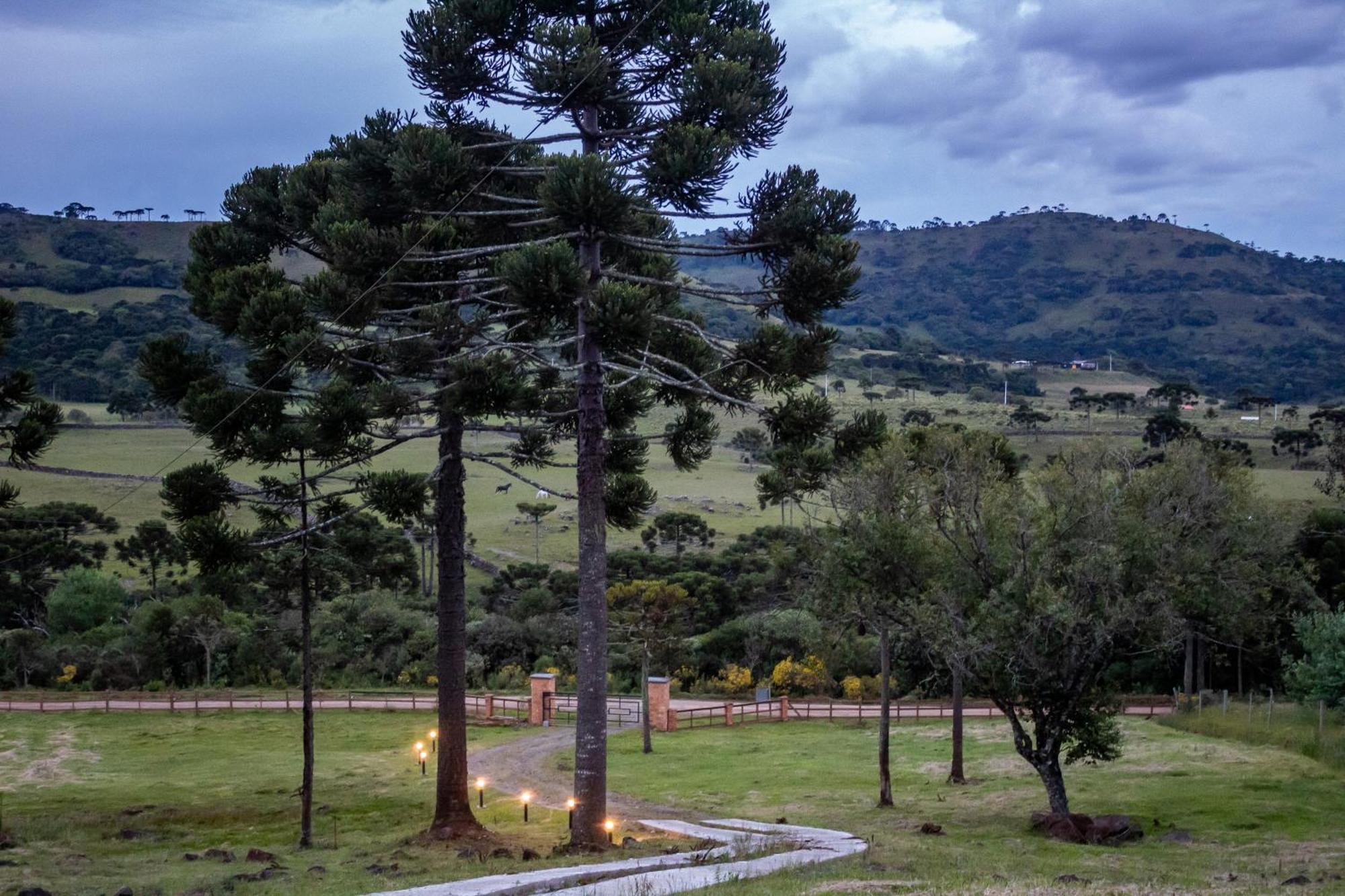 Casas Rainha Da Serra 02 Dorm Casal E Cozinha Урубиси Экстерьер фото